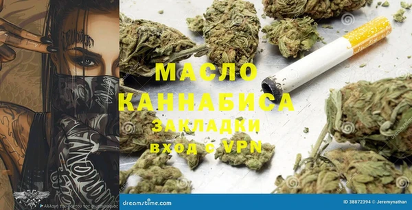 шишки Арсеньев
