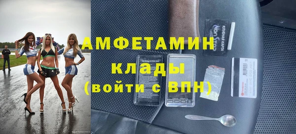 шишки Арсеньев