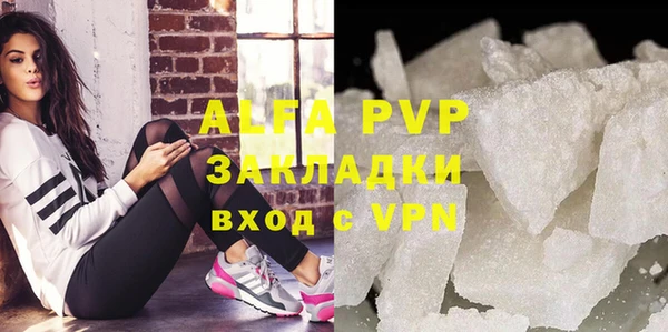 шишки Арсеньев