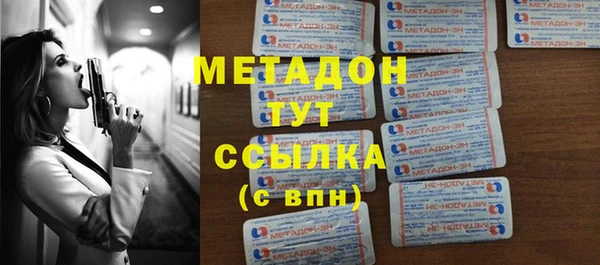 шишки Арсеньев