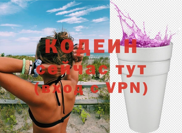 шишки Арсеньев