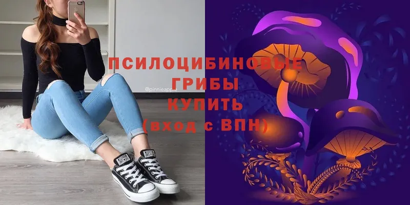 Псилоцибиновые грибы Cubensis  Валуйки 