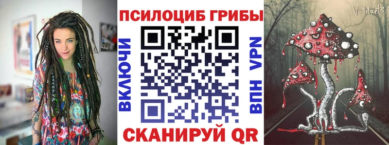 купить наркотик  Валуйки  Псилоцибиновые грибы Cubensis 
