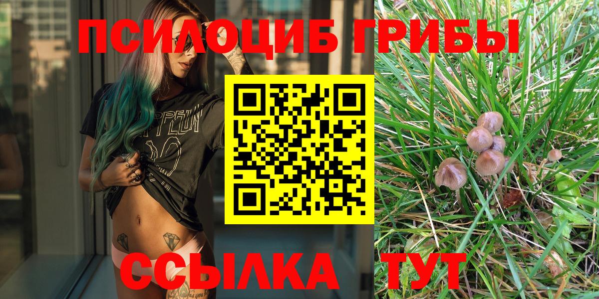 Валуйки  Галлюциногенные грибы Cubensis  Вход с VPN 