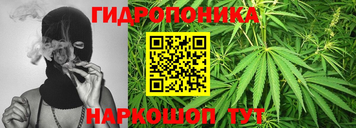 МАРИХУАНА Bruce Banner  Вход с VPN  Конопля конопля  МАРИХУАНА тримм  Валуйки 